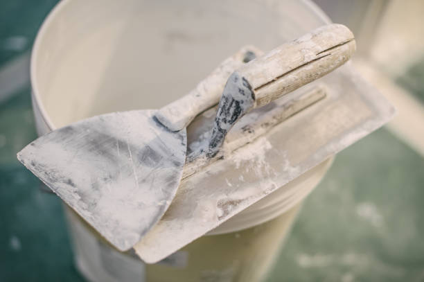 Best Mold Documentation for Insurance Claims  in Flatonia, TX